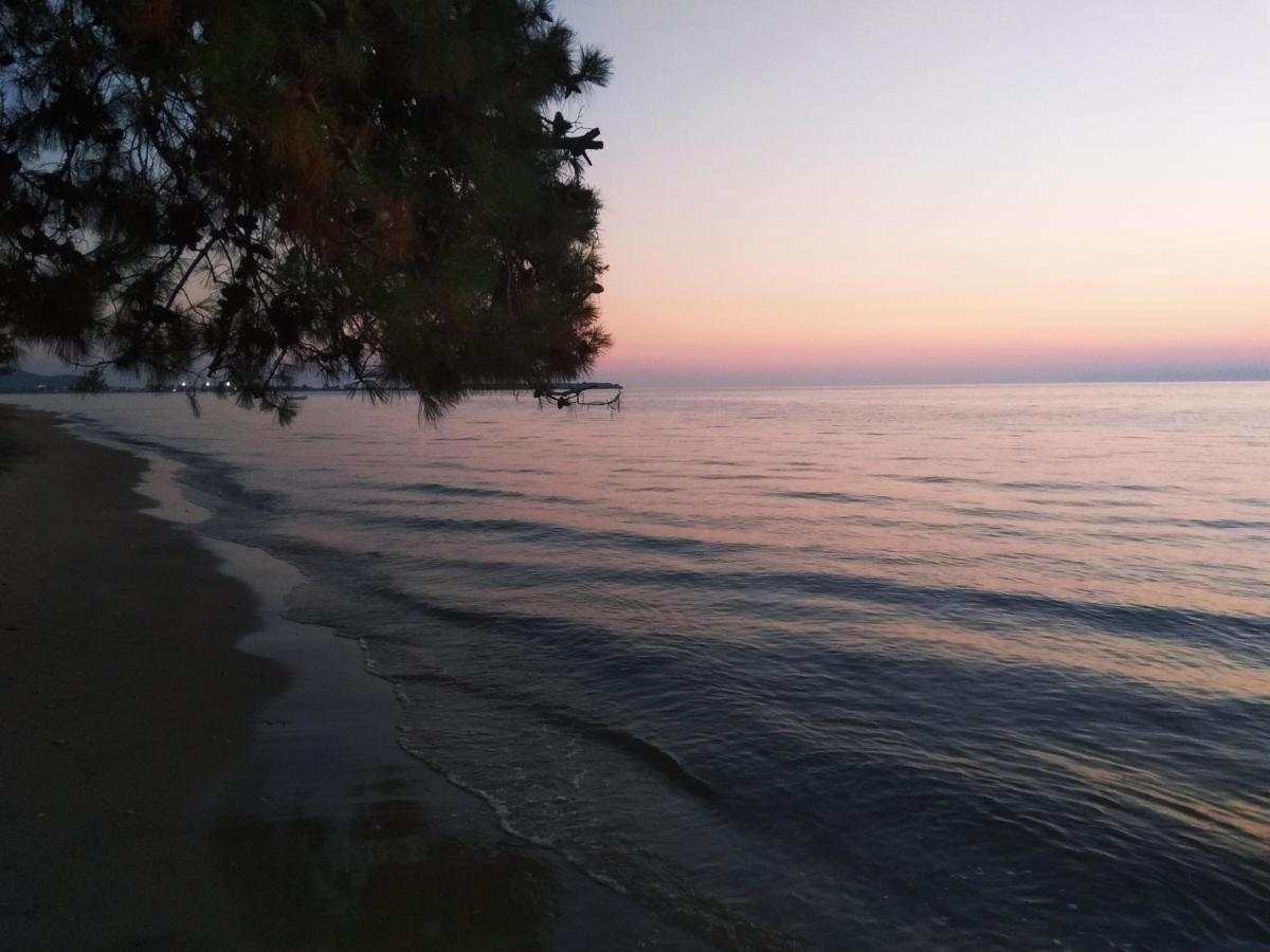 Chrisella Villa Skala Rachoni (Thasos) Exterior foto