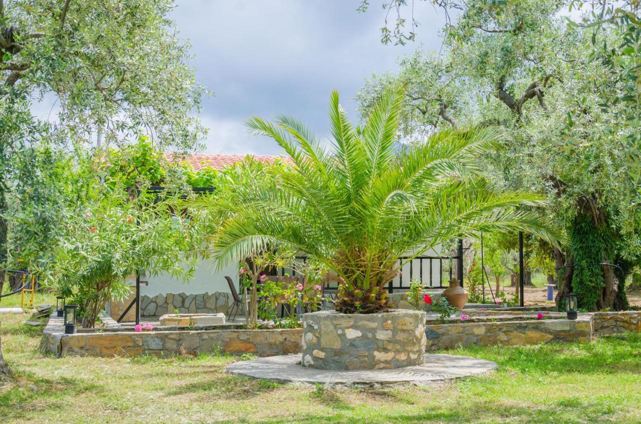 Chrisella Villa Skala Rachoni (Thasos) Exterior foto