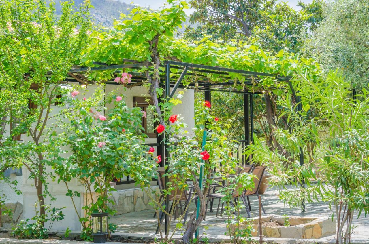 Chrisella Villa Skala Rachoni (Thasos) Exterior foto